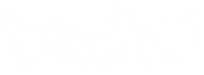 LADDERS STORE logo